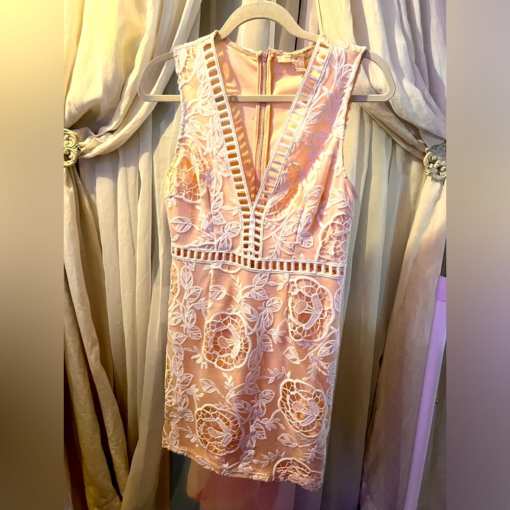Forever 21 Lace Embroidered Dress